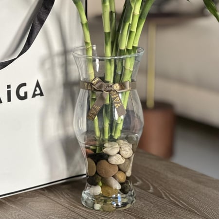 فازة بامبو تايلندي