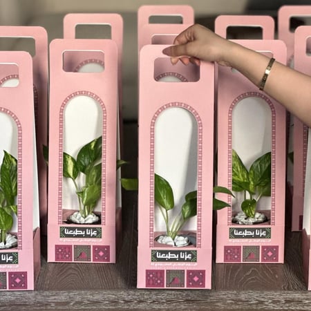 توزيعات بوتس اليوم الوطني