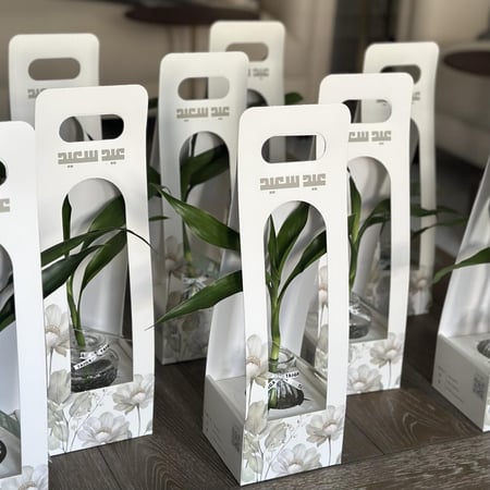 توزيعات بامبو بـ هولدر العيد