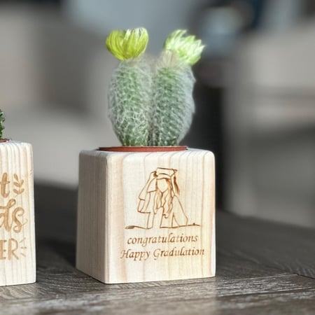 توزيعات الصبار الخشبيه (قابل للكتابة)