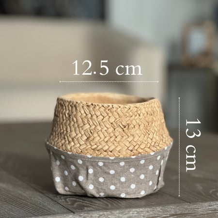 أصيص زرع فخار