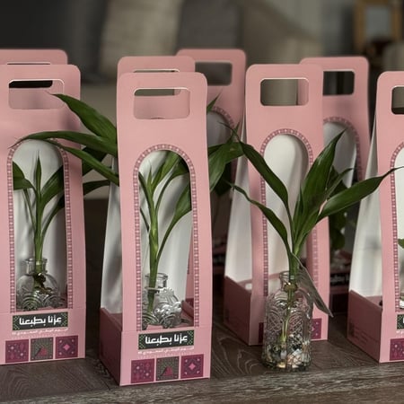 توزيعات بامبو بباكيج اليوم الوطني