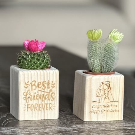 توزيعات الصبار الخشبيه (قابل للكتابة)