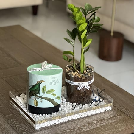 هدية فازة زاميا وسط + بوكس تشوكلت