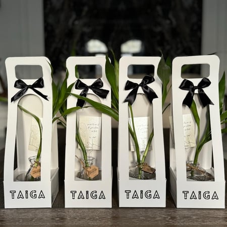 توزيعات فازات البامبو