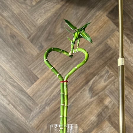 فازة بامبو على شكل قلب + سمكة