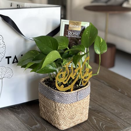 هدية رمضانية