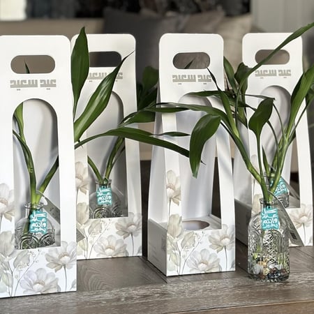 توزيعات بامبو بتاق أكريلك (كل عام وأنتم بخير)