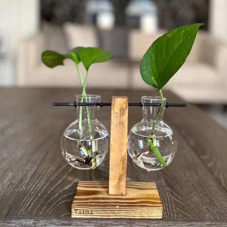 حامل خشبي بفازتين بوتس مائي