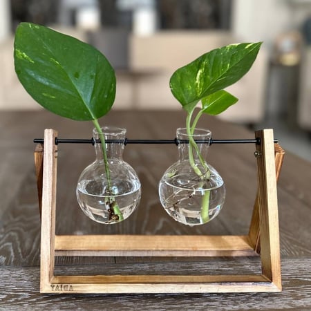 حامل خشبي بـفازتين بوتس مائي