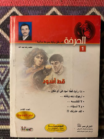 الصرخة - قط أسود