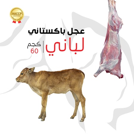 عجل لباني