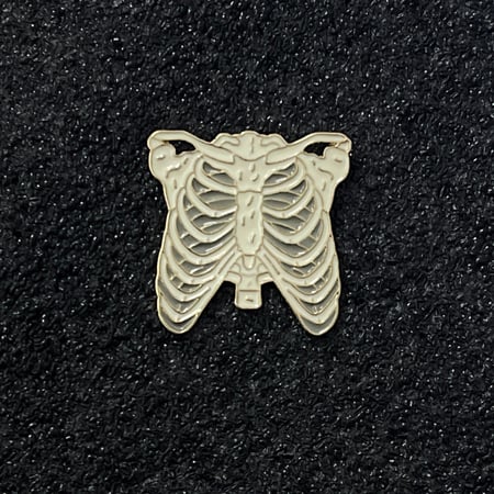 بروش قفص صدري