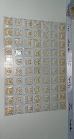 جديد عيد الاضحى