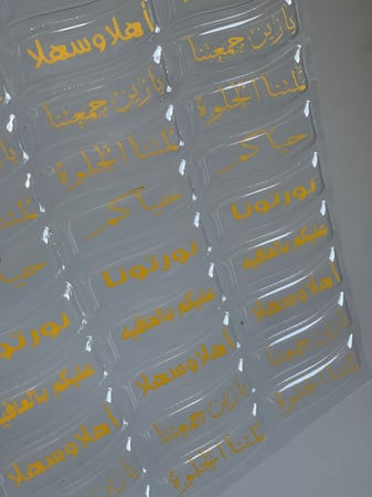 ترانسفير ضيافه فخم (2)