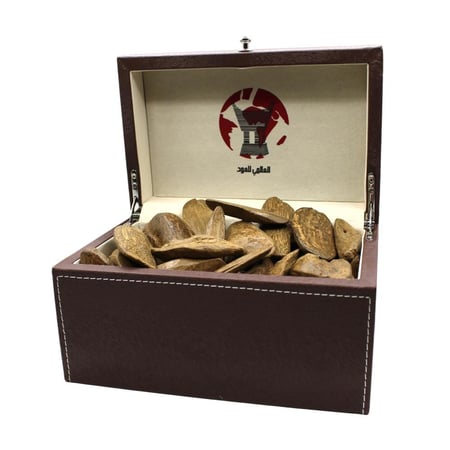 عود مروكي الشيوخ دبل سوبر