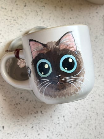 كوب رسم يدوي (ارسم بستك الخاصة )‍(في حال الطلب راح يتم التواصل معك عبر الواتساب)