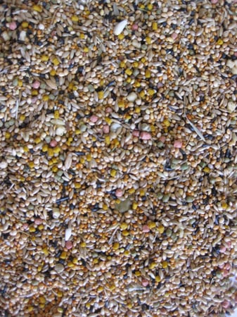 غذاء كامل للعصافير الإستوائية Deli Nature