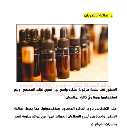 أفكار مشاريع ناجحة جداً ومربحة 2024 - 18 صفحة