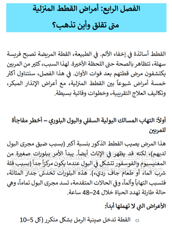 دليل تربية القطط المنزلية