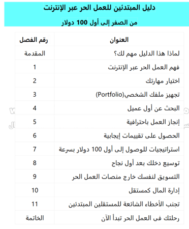دليل المبتدئين للعمل الحر عبر الإنترنت  من الصفر إلى أول 100 دولار