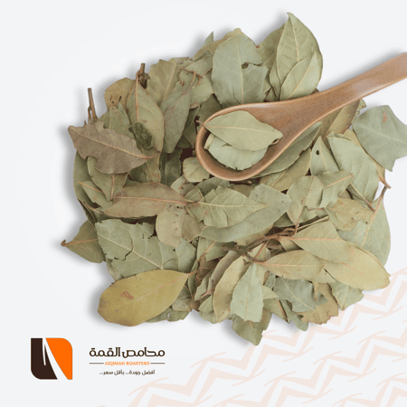 ورق غار