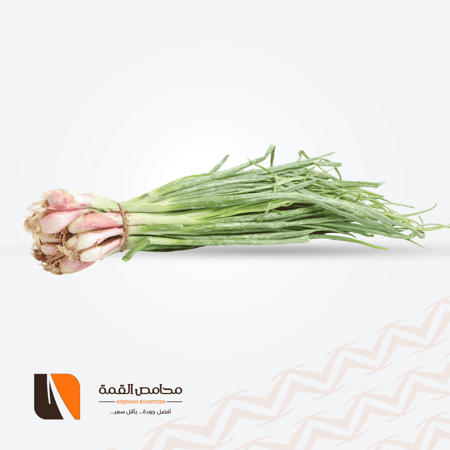 بصل أخضر قصيمي  ربطة