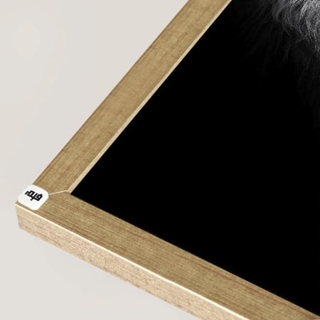 لوحة جدارية كانفس أسد درجات الأسود والأبيض مع الرمادي