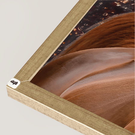 لوحة جدارية كانفس خيل بخلفية زخارف