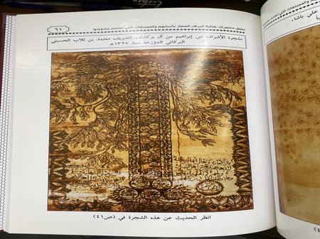 عناية اشراف الحجاز بانسابهم والمصنفات
