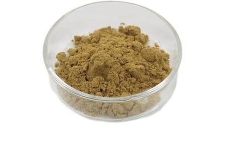 عشبة الدردار الأحمر ( عضوي)   100 جرام