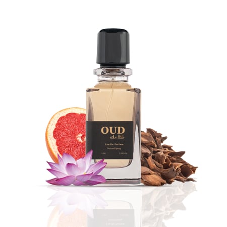 عود كلاسك القرشي مركز