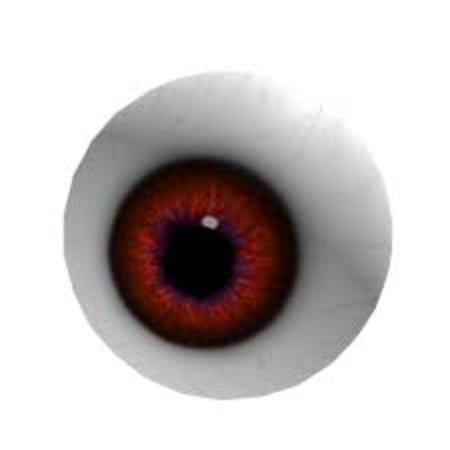 eyeball