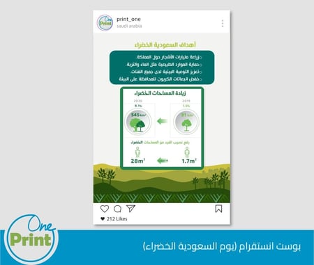 باقة يوم  السعودية الخضراء