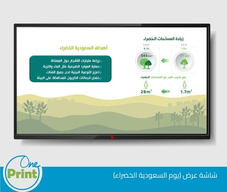 باقة يوم  السعودية الخضراء