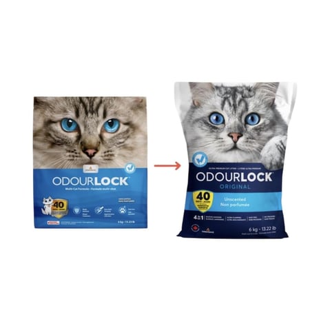 رمل انتر ساند للقطط بدون رائحة عالي التكتل 12 كيلو