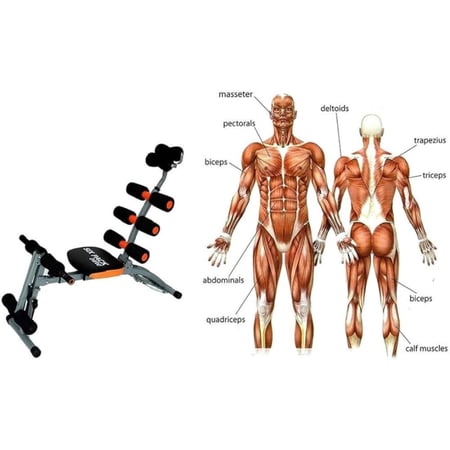جهاز تمرين عضلات البطن متعدد الوظائف
