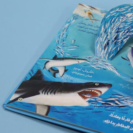 مملكة الحيوان :المحيط