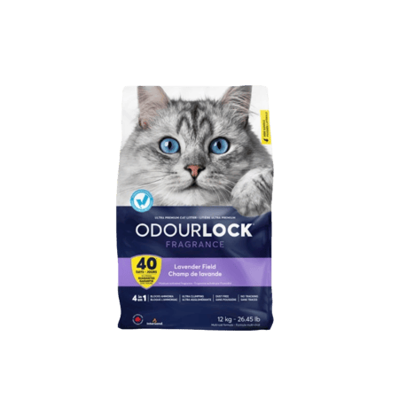 رمل انتر ساند عالي التكتل برائحة اللافيندر