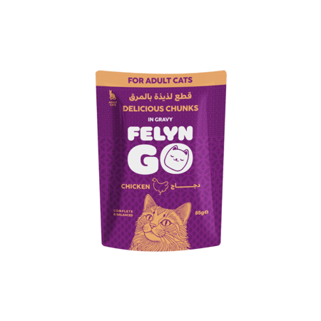 اظرف الدجاج بالمرق من شركة  Felyn Go