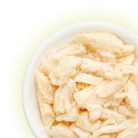 أظرف الدجاج من شركه Cat fest