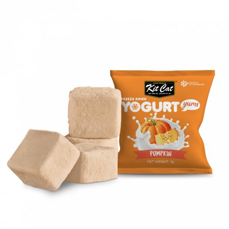 مكافات الزبادي المجففة بالتبريد بنكهه اليقطين من شركة Kitcat