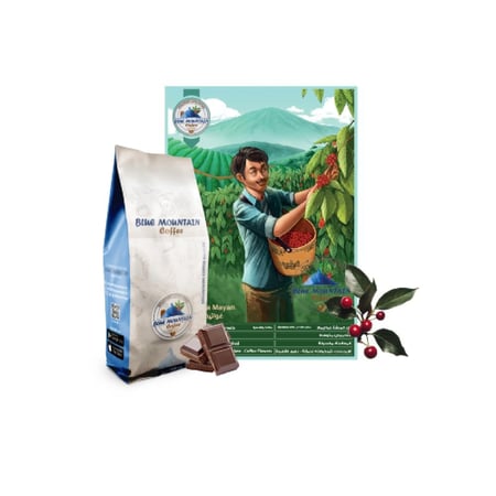 قهوة محمصة غواتيمالا ميان