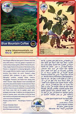 قهوة بنما بنما سان سبستيان افضل حبوب البن في العالم في بلو ماونتن كوفي