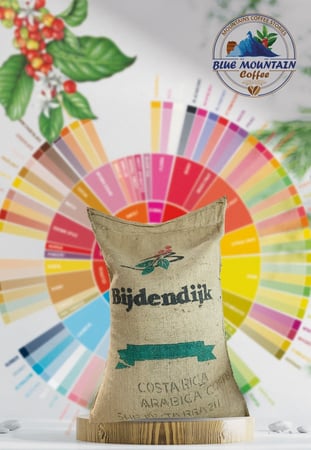 قهوة كوستاريكا سونوراروخو من اجود انواع القهوة العالمية لدى بلو ماونتن