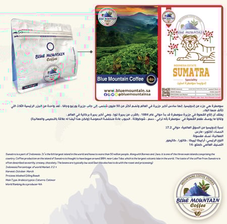 قهوة محمصة إندونيسيا سومطرة