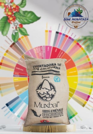 مكسيكي مكسبل استيت تجده لدى موزعين القهوة في السعودية وقهوة بلو ماونتن
