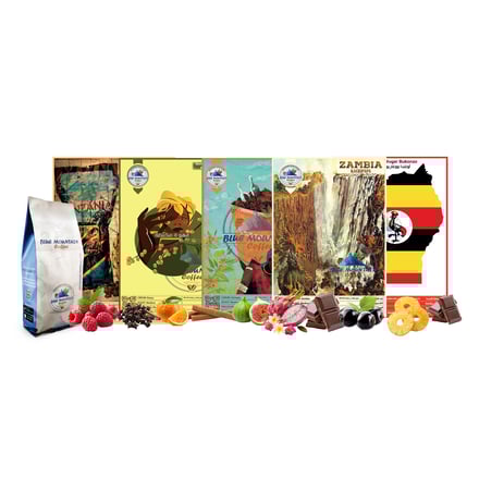 مجموعة القهوة المختصة أفريقيا 1.25 كغ