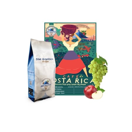 قهوة محمصة كوستاريكا سونورا روجو