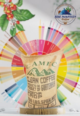 قهوة غواتيمالا ميان  تتلذ بها مع افضل فناجين القهوة من بلو ماونتن